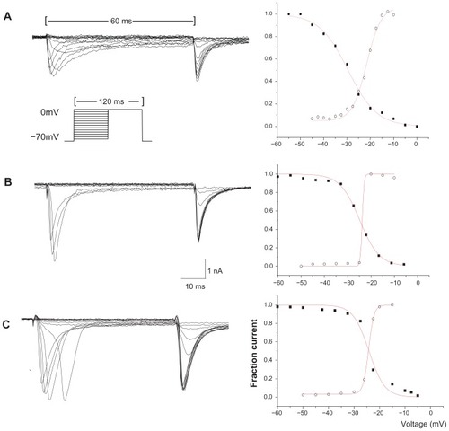 Figure 3 Representative activating and steady-state inactivating curves of TTX-R sodium current from individual DRG neurons. (A) The activation and inactivation of the TTX-R Na+ current from a small control neuron. (B) The activation and inactivation of the TTX-R Na+ current from a small neuron of the visceral pain group. (C) The activation and inactivation of the TTX-R Na+ current from a small neuron of the morphine tolerance group.