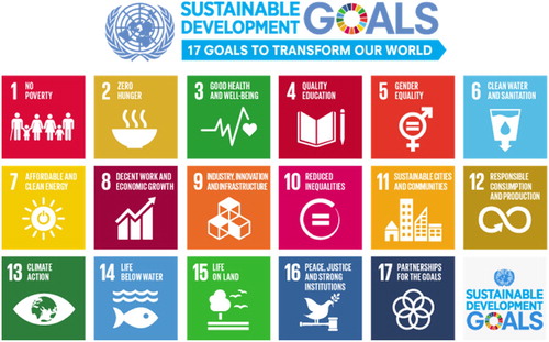 Figure 1: The 17 SDGs adopted in 2015 as part of Agenda 2030 (Source: United Nations).