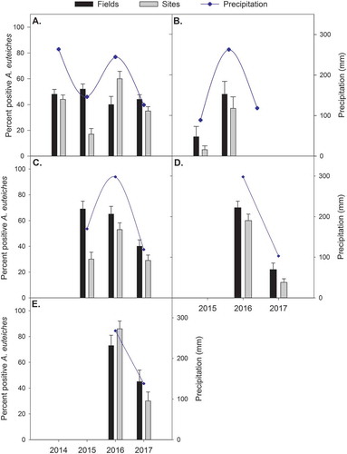 Fig. 4. Per cent fields and samples (sites) testing positive for Aphanomyces euteiches, based on PCR assays from diseased root tissues, and total precipitation over the growing season (May–August) in (a) Alberta pea; (b) Alberta lentil; (c) Saskatchewan pea; (d) Saskatchewan lentil; and (e) Manitoba pea crops in their respective years surveyed. Error bars represent standard error of the mean.