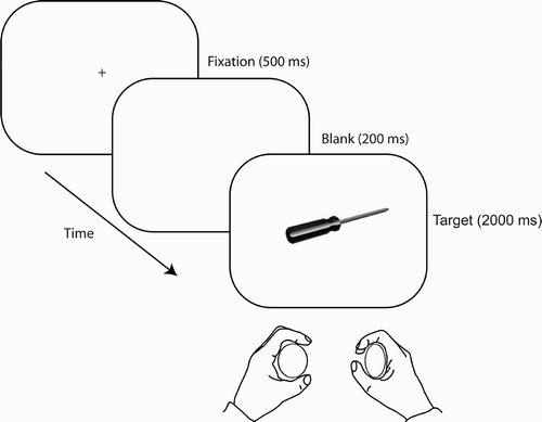 Figure 1 Illustration of a participant responding to the stimulus sequence presented on an example trial. Participants made a squeeze response with either the left or the right hand to indicate whether the object presented belonged in either a kitchen or a toolbox. Each object was presented so that it afforded an action with the left or right hand (all trial types were equiprobable).