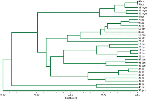 FIGURE 2 A UPGMA dendrogram of diploid Vaccinium species in the section Cyanococcus constructed from length polymorphisms of EST-PCR markers. In the tree, bor, myrt, cae, eli, atr, dar, ten, pal, and gay stand for V. boreale, V. myrtilloides, V. caesariense, V. elliottii, V. atrococcum, V. darrowii, V. tenellum, V. pallidum, and Gaylussacia brachycera (which served as an outlier), respectively. Most of the V. elliottii representatives formed a distinct group, suggesting V. elliottii should probably not be lumped with V. caesariense and V. atrococcum as diploid V. corymbosum (color figure available online).