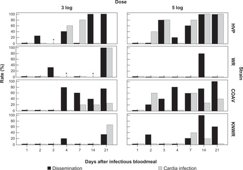 Figure 10 Rates of dissemination and cardia infection among infected individuals. A significant correlation (P < 0.05) between these variables was found in the HVP strain, 5-log group. No significant correlations were found in the 3-log group. Asterisks mark time points where no infected specimens were found.