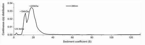 Figure 2. The SV-AUC spectrum of S132C/N181C (0.1 mg/mL) in 10 mM NaOAc (pH 7).