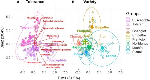 Figure 4. Principal Component Analysis (PCA) of olive root metabolites performed with ‘tolerance’ and ‘variety’ as factors. Compounds with a contribution to the two dimensions higher than 4% were considered for the analysis. Verbascoside, acetoxypinoresinol glucoside, ligstroside, and unknown_8 were not considered because they were highly correlated with other metabolites that had a higher percentage of explanation (acyclodihydroelenolic acid hexoside, unknown_5, and oleuropein).