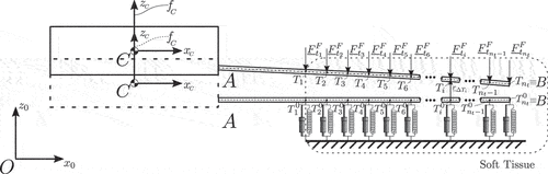 Figure 18. Needle tissue interaction model based on Winkler foundation.