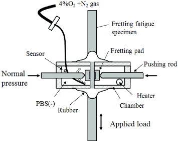 Figure 3. Schematic diagram of the fretting fatigue test in PBS(-).