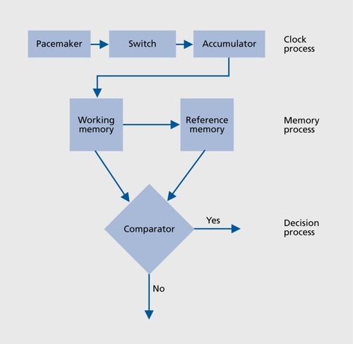 Figure.1 Scalar timing theory. Reproduced from ref 6: Gibbon J, Church RM, Meck WH. Scalar timing in memory. Ann N Y Acad Sci. 1984;423:52-77. Copyright © New York Academy of Sciences 1984