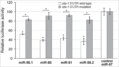 Figure 2. Luciferase-reporter assays show that miR-58 family members repress gene expression through the sta-1 3′UTR. Human HeLa cells were transiently transfected with psiCHECK-2 vector containing either the wild-type (white) or mutated (gray) 3′UTR from sta-1, along with miR-58 family mimics of miR-58.1, miR-80, miR-81 and miR-58.2 (i.e. miR-1834), or the unrelated miR-67 as negative control. The luciferase activity for each mimic was normalized to the value obtained with miR-67 using the same sta-1 3′UTR. Data shown are representative from 2 independent experiments. Error bars indicate standard deviations. *(P < 0.005), comparing luciferase activities for each inhibitory miRNA to miR-67s (white bars), and between wild-type and mutated sta-1 3′UTRs for each microRNA (pairs of white and gray bars).