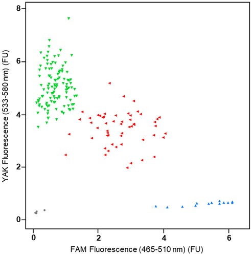 Figure 3. Real-time quantitative PCR probe assay (RT-qPCR) probe SNP genotyping analysis of the codon 106 mutation in the EPSPS gene conferring glyphosate resistance in Lolium perenne using an endpoint fluorescence scatter plot. FU: fluorescence units; green triangles: individuals homozygous for the susceptible (R) SNP allele (RR); red triangles: individuals heterozygous for the glyphosate resistance (R) and the susceptible (S) SNP alleles (RS); blue triangles: individuals homozygous for the susceptible (S) SNP allele (SS); grey circles: negative controls.