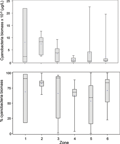 Figure 4. Cyanobacteria biomass (top) and percent contribution to total phytoplankton biomass (bottom) from subsurface samples (1 m) averaged across sites within in each of the six LOW hydrologic zones, 1998–2010.
