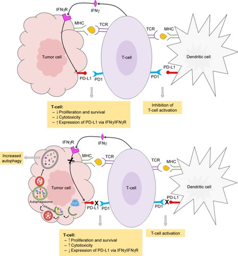 Figure 1 Schematic representation of the interaction of tumor cells with the immune system.