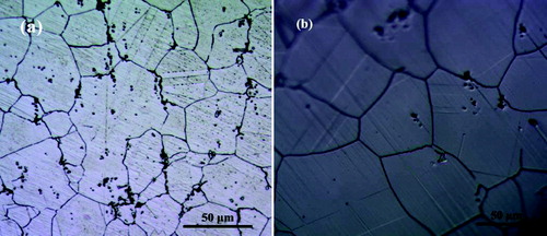 Figure 1. Metallography of Hastelloy-N alloy: (a) before heat treatment and (b) after heat treatment.