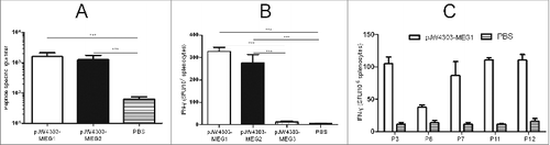 Figure 7. Evaluation of immune responses in BALB/c mice induced by pJW4303-MEG1, pJW4303-MEG2, and pJW4303-MEG3. BALB/c mice were intramuscularly immunized with pJW4303-MEG1, pJW4303-MEG2, and pJW4303-MEG3 at a dose of 10 μg of DNA dissolved in 200 μl of PBS according to the immunization schedule. (A) Two weeks after the final immunization, sera were collected and peptide-specific IgG was measured by ELISA. (B) On day 21 after the final immunization, mice were sacrificed, and splenocytes were stimulated with pool-peptides for 48 hours to detect cellular immune response by ELISPOT assay. (C) Splenocytes from mice injected with pJW4303-MEG1 were also stimulated with H-2d-restricted epitopes to evaluate cellular immune response to single peptides.
