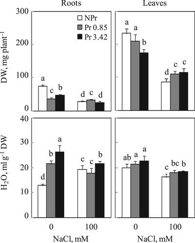 Figure 1. Dry weights (DW) and water content of roots and leaves of tomato. Thirty-day-old plants from UV-C seeds non-primed (NPr) or primed (0.85 and 3.42 kJ m−2). Plants were grown for 15 days in absence (C) or presence (S) of NaCl, 100 mM. Mean of six plants and confidence interval for P = 0.05. Mean values with the same letter in each panel are not significantly different at P = 0.05 (ANOVA and mean comparison with Newman-Keuls post hoc test).