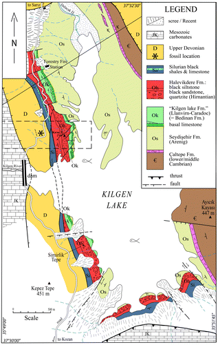 Figure 2. Geological map of the studied area, along the Kilgen Lake, NE of Kozan. The fossil locality is indicated as a black star.