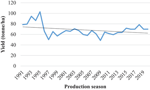 Figure 3. Trend of sugarcane yield/ha by out-growers from 1991 to 2020.