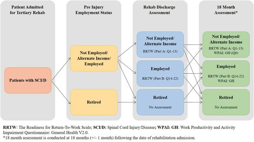 Figure 2 SCI-High employment domain indicator decision tree. Appropriate indicator data collection is based on the patient’s employment status at the time of assessment.