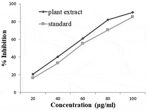 Figure 6. Hydroxyl radical scavenging activity by S.Bryopteris extract and Vitamin E as standard.