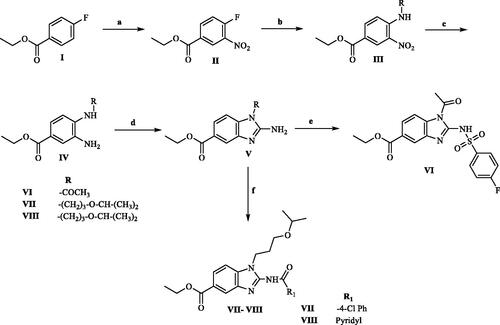Scheme 1. Reagents and conditions (a) H2SO4, NaNO3, r.t, 2 h, (b) RNH2, K2CO3, DMF, 70 °C, overnight, (c) Pd/ H2, CH3OH, N2, r.t, overnight, (d) CNBr, NaHCO3, CH3OH, r.t, 2 h, (e) 4-Fluorobenzenesulfonyl chloride, pyridine, N2, r.t, overnight, (f) RCOOH, TBTU, DMAP, N2, DMF, r.t, overnight.