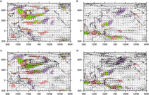 Fig. 5 As in Fig. 3, except for the anomalies of the surface wind vector (unit: ms−1). Areas with purple (pink) colour indicated the regions where the difference in meridional (zonal) surface wind anomalies between high and low OKJ composite were statistically significant at 95% confidence level by t-test. Areas with green colour indicated the overlapping regions for the significant meridional and zonal wind surface anomalies.