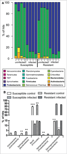 Figure 4. Gut biota profiles in Bt infected and uninfected R and S line larvae. Profile of the bacterial community in midguts from fourth instar larvae from both resistant and susceptible lines on the second day post Bt infection. Values are averaged across 4 independent control (uninfected) and 4 infected samples of each line. (A) Bacteria classified by phylum and (B) Comparison of community, classified by class, from infected and uninfected R and S line larvae (p < 0.01, p < 0.001 compared with infected insects from the corresponding line).