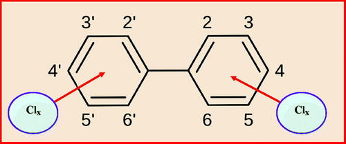 Figure 8. The general structure of PCBs, the number of chlorine atoms varies from one to ten to replace the hydrogen atoms in the biphenyl to give as many as 209 different chemical compounds (Lee and Fletcher Citation1990).