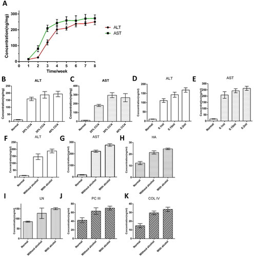 Figure 4. Optimization of carbon tetrachloride-induced liver fibrosis model. (A) ALT and AST results for modeling time Selection. (B-C) ALT and AST results of CCl4 concentration selection. (D-E) ALT and AST results of CCl4 volume selection. (F-K) ALT, AST, HA, LN, PCIII and Col IV results of whether to feed ethanol.