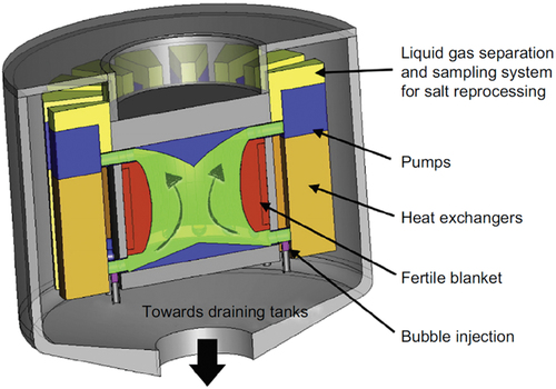 Fig. 1. Layout of the MSFR, from Ref. [Citation16].