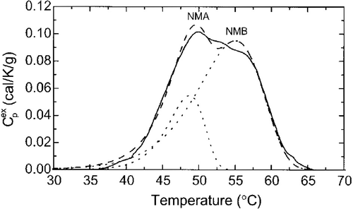 Figure 4. The Nuclear Matrix is the Most Temperature Sensitive Subcellular Components Identified so Far. DSC profile of V79 nuclear matrices(solid line), the best two components fits (dashed line) and the individual components: NMA and NMB (dotted lines). This profile corresponds to peak A in Figure 3. Reprinted from Ref. 8.