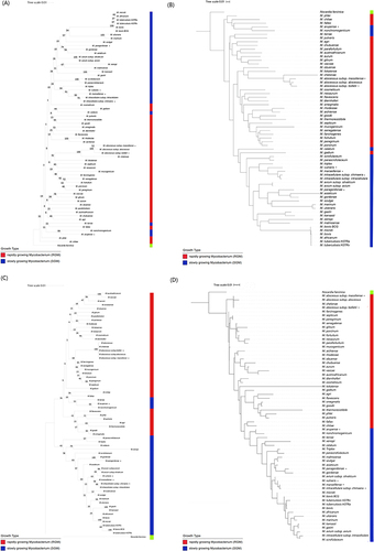 Figure 1 Phylogenetic tree based on chvD and 16S rRNA gene sequences shows the relationship of the 63 type strains of mycobacteria and one outgroup strain. Bootstrap values (percentages) are shown next to the nodes. (A) Tree of 652 bp region of chvD reconstructed with neighbor joining. (B) Tree of 652 bp region of chvD reconstructed with IQ tree. (C) Tree of 873 bp hypervariable regions of 16S rRNA reconstructed with neighbor joining. (D) Tree of 873 bp hypervariable regions of 16S rRNA reconstructed with IQ tree. Seven other Mycobacterium spp. retrieved from GenBank marked with an asterisk at the end of their names.