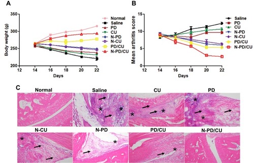 Figure 9 Therapeutic efﬁcacy of nanoparticles in vivo. (A) Body weight variation after given different treatments. (B) Mean arthritis scores were calculated for the joints in the right hind limb following different treatments. Data shown are mean ± SD (n=3). (C) Photomicrographs of histological sections of ankle joints from animals after different treatments. Arrows indicate ﬁnger-like pannus formation; asterisks, bone destruction. Bar, 100 nm.