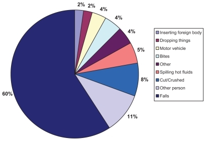 Figure 1 Causes of injuries in children.