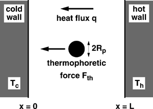 FIG. 1 Schematic diagram of a particle (with size greatly exaggerated) suspended between parallel walls at unequal temperatures.