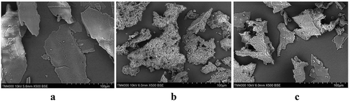 Figure 4. The image of Scanning electron microscope of sunflower seed protein(500 times). (A) sunflower seed protein, (B) macroporous resin adsorption decolorization of sunflower seed protein, (C) limited enzyme hydrolysis combined with macroporous resin decolorize sunflower seed protein