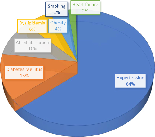 Figure 3 Identified risk factors among 272 stroke patients admitted to ACSH from November 1, 2018 -October 31, 2019.