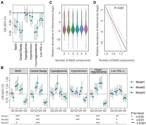 Figure 1 Associations between the relative abundance of Akkermansia and MetS and its components. (A and B) ORs and 95% CIs for MetS and its components with a 1% increase in the abundance of Akkermansia (A), and across quintiles of Akkermansia (with Q1 as a reference) (B). (C) Relative abundance of Akkermansia in participants with different numbers of MetS components. (D) Linear association between Akkermansia and the number of MetS components; dashed lines represent the 95% CI. Trend test of ORs across quintiles (Q1–Q5) was conducted by entering the median value of each quintile of Akkermansia abundance into the models. *P for trend <0.05; **P for trend <0.01; ***P for trend ≤ 0.001.