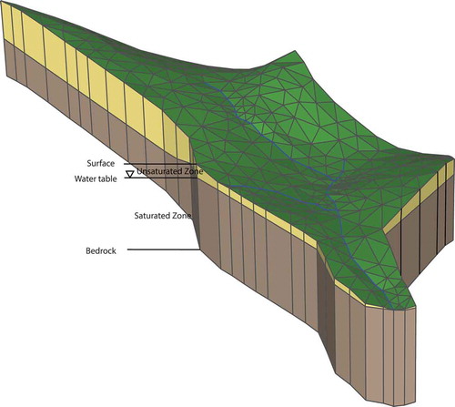 Fig. 4 Mesh and boundary of the Lysina catchment model. The elevation of the lower limit of impermeable bedrock was set to a uniform 4 m below the surface. The groundwater flow in the catchment is within the soil (0–1.5 m) and weathered bedrock (1.5–4 m). Solid (blue) lines represent the stream channels, and (green) triangles represent the catchment domain.