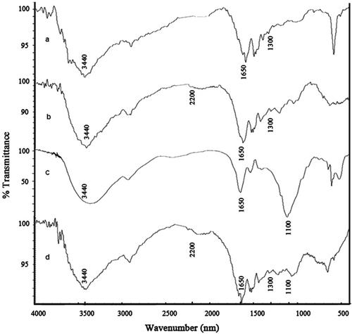 Figure 5. FTIR spectra of: (a) pure gelatin; (b) CDI-activated gelatin hydrogel; (c) pure lipase; and (d) lipase-immobilized gelatin hydrogel.