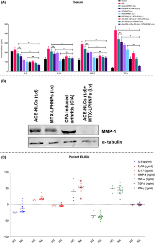Figure 9 Determination of the “immune-mediators” and joint damage markers (TNF-α, IL-1β, IL-6, MMP-1, iNOS andCOX-2) in theA) sera of the animals with experimental RA upon receiving treatment with the mono-[MTX-LPHNPs, gel-(ACE-NLCs+CE)] and combination (MTX-LPHNPs & gel-(ACE-NLCs+CE) drug therapy. Combination drug therapy with the transdermal application of gel-(ACE-NLCs+CE) and intravenous administration of MTX-LPHNPs saw the steep reduction in the systemic inflammation characterized by the reduced expression of the immune mediators as compared to the monotherapy and combination therapy of the market formulations (A) CE gel-[ACE-MKT]) administered transdermally along with the subcutaneous injection of MTX-MKT formulation, (B) The co-delivery of ACE-NLCs+CE and MTX-LPHNPs following the transdermal and intravenous routes exhibited no expression of MMP-1 in the synovial fluid compared to the CIA animals. Cells from synovial fluid were washed with RPMI followed by lysing to detect the MMP-1 expression by the Western blots. α-Tubulin, loading control (n=3). Statistical data is expressed as mean ± SE (n = 6 animals per group). (*p< 0.01; significant)) (ns; not significant) (C) The estimation of inflammatory (IL-6, TNF-α, IFN-γ, IL-17), immunoregulatory (TGF-β, IL-10) and joint damage (MMP-1) markers in the serum samples collected from the patients with RA (n=24 patients). The statistical analysis was performed using one-way analysis of test.