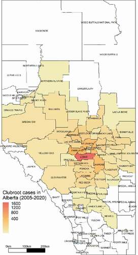 Fig. 1 Cumulative cases of clubroot diagnosed in canola crops in Alberta. Since the start of clubroot surveillance in 2003, the disease has been confirmed in 44 counties and municipal districts in the province, as well as in rural areas of the cities of Edmonton and Medicine Hat, and the Town of Stettler