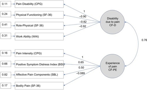 Figure 2 CFA using a two-factor model “disability due to pain” (CF-D) and “experience of pain” (CF-PE).