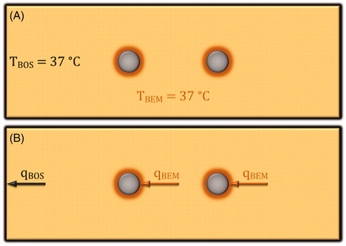 Figure 4. Examples of applied boundary conditions for the calculations of the temperature distribution. The brown circles represent BEM with the electrodes given in the color gray, and black lines represent the BOS of the model. Arrows represent heat flux vector that is normal to the BEM (qBEM [W⋅m−2]) and the BOS (qBOS [W⋅m−2]). At both BEM and BOS (A) shows Dirichlet boundary conditions, and (B) shows Neumann boundary conditions if qBEM = 0 W⋅m−2 and qBOS = 0 W⋅m−2, or Robin boundary conditions if qBEM and qBOS are limited.