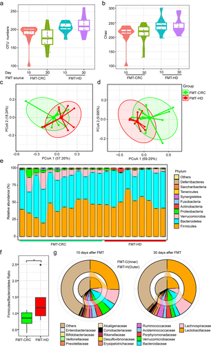 Figure 2. The gut microbiota from healthy donors restored normobiotic ecology of gut microbiota. (a-b) Changes in the α-diversity between the FMT-CRC and FMT-HD group was determined using the OUT numbers (a), and Chao index (b) (n = 7). (c-d) PCoA of β-diversity using the Bray-Curtis dissimilarity metric among samples of individual groups of mice in each group at day 10 (c), and day 30 (d). (e) Component proportion of bacterial phylum in each group. (f) Firmicutes-to-Bacteroidetes ratio in individual groups of mice in each group at days 30. (g) Comparison of relative abundance of bacterial class level between FMT-CRC (inner rings) and FMT-HD group (outer ring) at days 10 (left), and 30 (right). *P < .05.