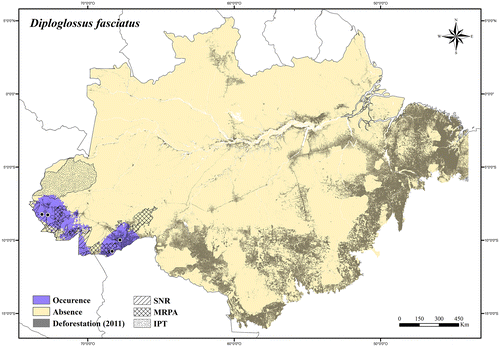 Figure 2. Occurrence area and records of Diploglossus fasciatus in the Brazilian Amazonia, showing the overlap with protected and deforested areas.