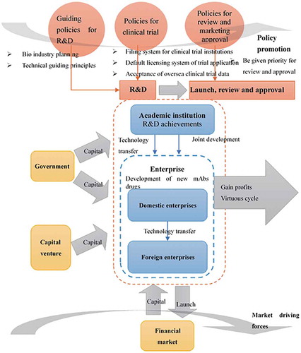 Figure 5. China mAb drugs innovation supporting system.