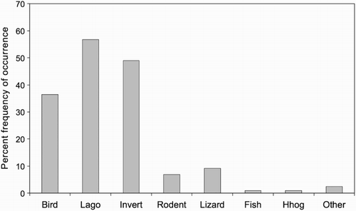Figure 1 Percent frequencies of occurrence of major prey categories in 206 stoat scats, Tasman Valley 2000–2002. Lago = lagomorph, Invert = invertebrate, Hhog = hedgehog.