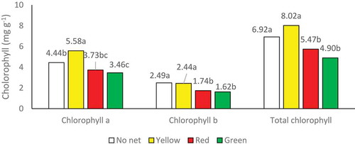 Figure 1. Effect of color net type on plantchlorophyll.