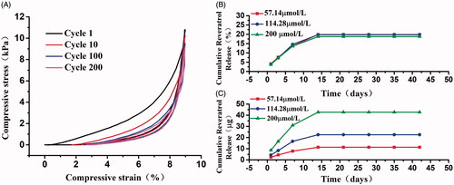 Figure 6. Characters evaluation of biodegradable resveratrol-loading PLA/Gelatine 3D nanofibre scaffolds. (A) Compressive stress − strain curves of 3D nanofibre scaffold with different cycles; (B) released amount of resveratrol; (C) released percentage of the total resveratrol loading. Values are presented as mean ± SD.