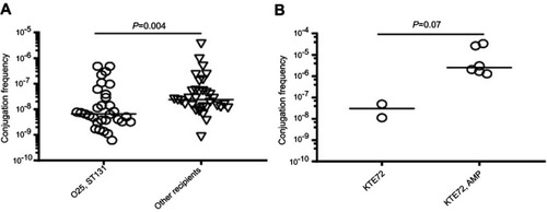 Figure 1 (A) Illustration of the observed difference in conjugation frequencies of recipients belonging to O25 compared to other O-types. (B) Difference in conjugation frequency for one recipient depending on ampicillin selective pressure during conjugation. Statistics: Mann–Whitney test with application of Bonferroni correction to adjust for multiple testing (α=0.017). Frequencies below the detection limit were not plotted. Horizontal lines represent medians.