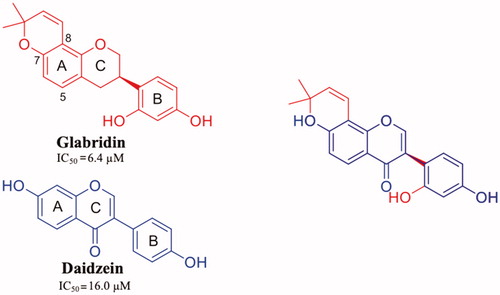 Figure 9. Chemical structure of glabridrin and daidzein, and their graphical superposition.